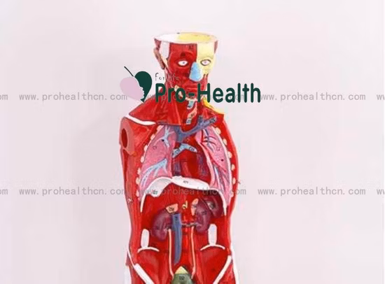 100% coton bandes plus adhésif pansement blanc Sport bande rigide bande musculaire bande athlétique bande de Sport bande médicale